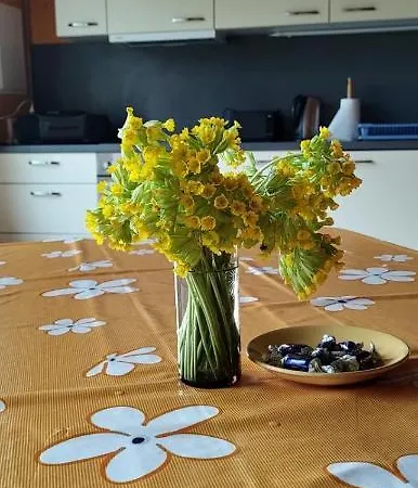 Kaussjaerve Puhkemaja