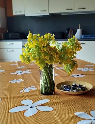 Kaussjaerve Puhkemaja